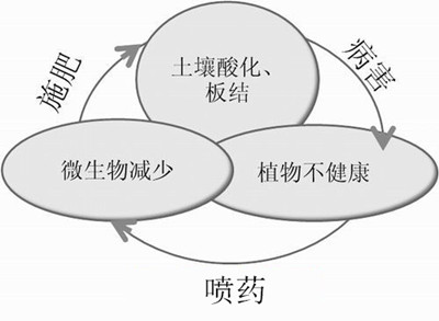 化肥不等于科學(xué)，請客觀評判！
